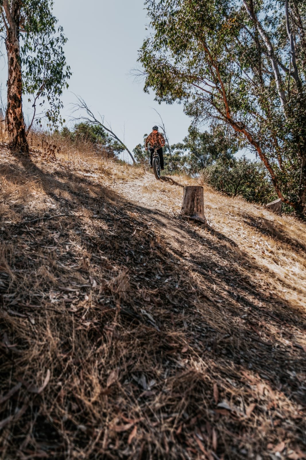 Soft Tail Mountain Bike on a Trail