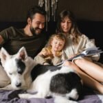 Everyday Hacks to Make Taking Care of a Dog Easier